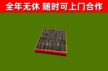 雨山回收海参